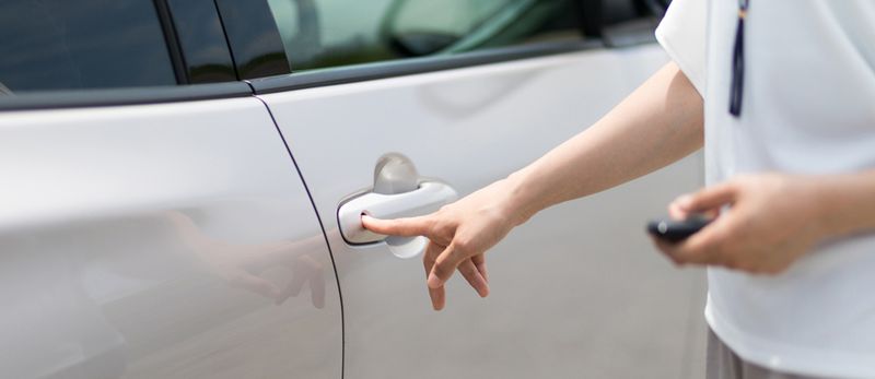 Biometric Vehicle Access