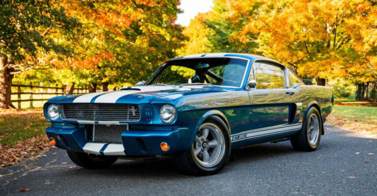 15 Best Shelby Mustangs Throughout History