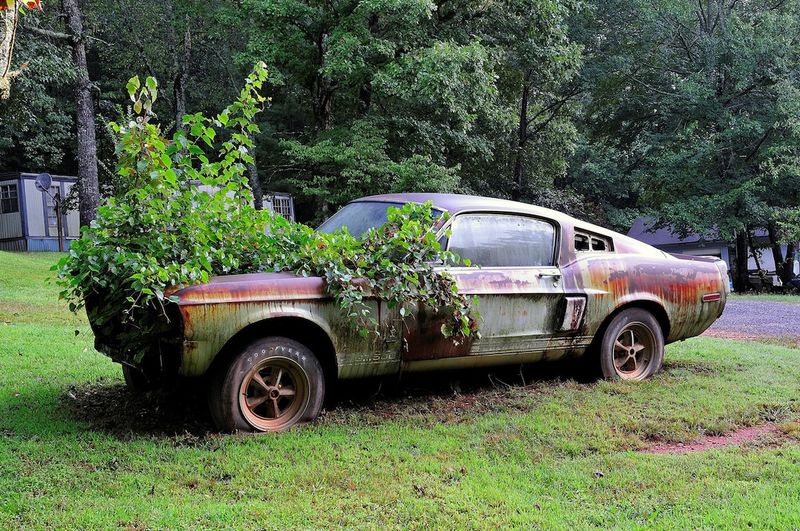 Alabama's 'Finders Keepers' Loophole