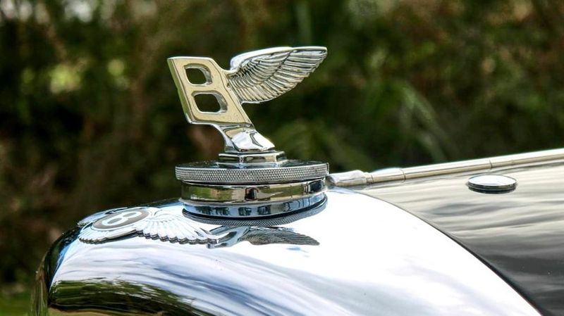 Hood Ornaments