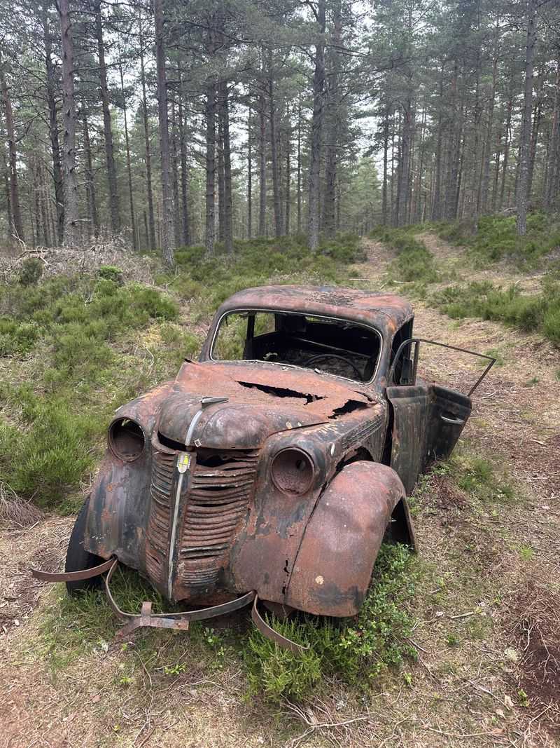 New Jersey's Pinelands Vehicle Preservation Order
