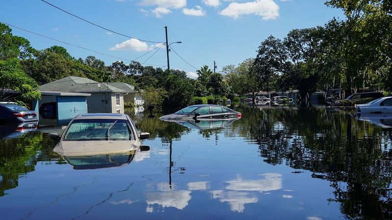 Florida's Hurricane Aftermath Regulations