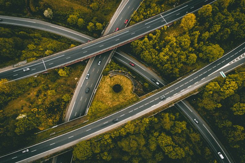 Road Infrastructure Expansion Destroys Habitats