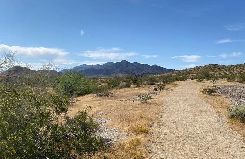 Gila Trail (1840s)