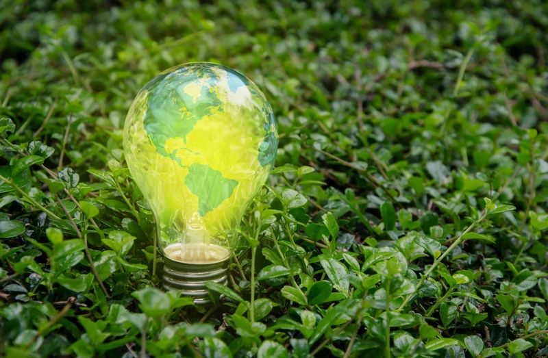 Green Policies With Southern Pragmatism