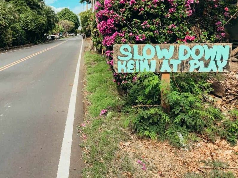 Hawaii: Paradise at a Crawl