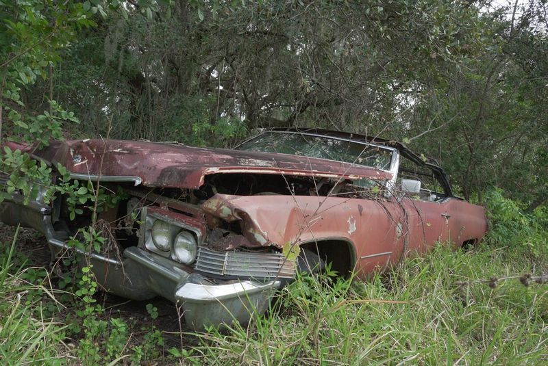 Louisiana's Bayou Submersion Clause