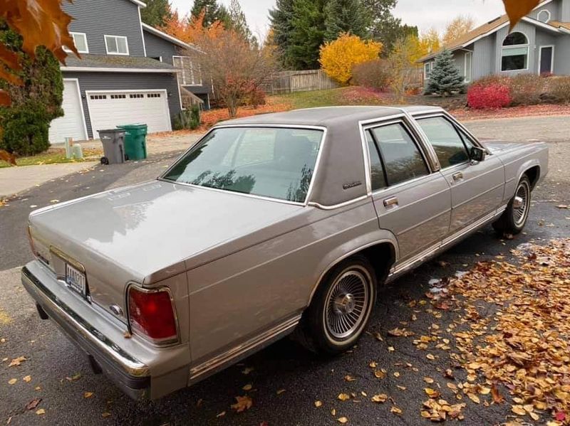 1976-1991 Ford LTD/Crown Victoria: Grandpa's Pride and Joy