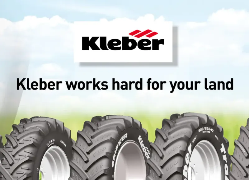 Kleber